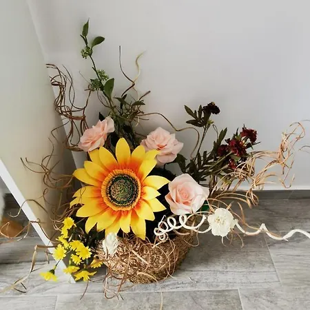 Oshoo Apartment- Powered By Jvs Нэводари