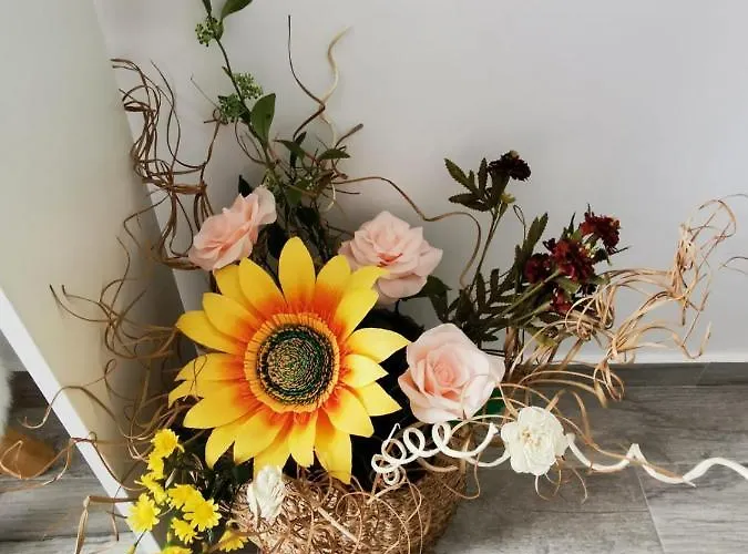 Oshoo Apartment- Powered By Jvs Navodari